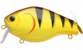 Lucky Craft Bull Fish 806 Tiger Perch